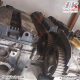 سر سیلندر ریو